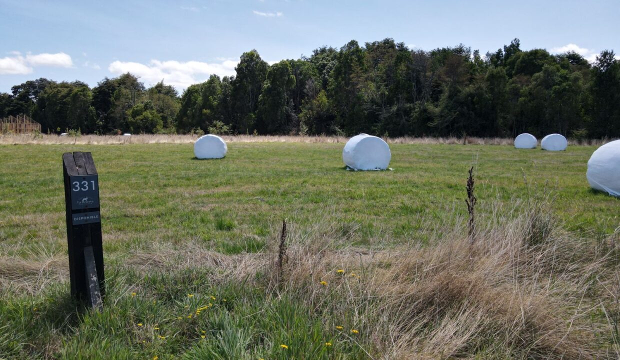 Imagen de WhatsApp 2023-02-16 a las 15.45.25