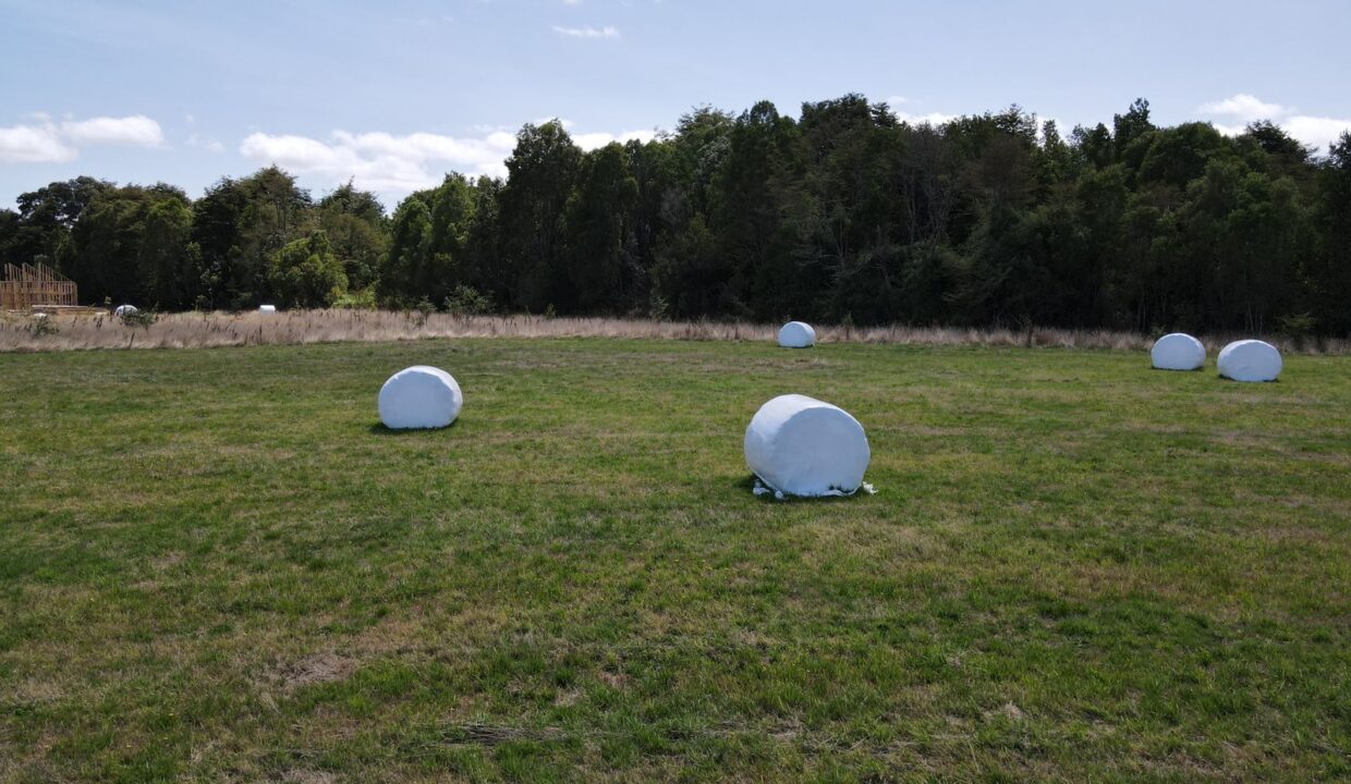 Imagen de WhatsApp 2023-02-16 a las 15.45.25AS