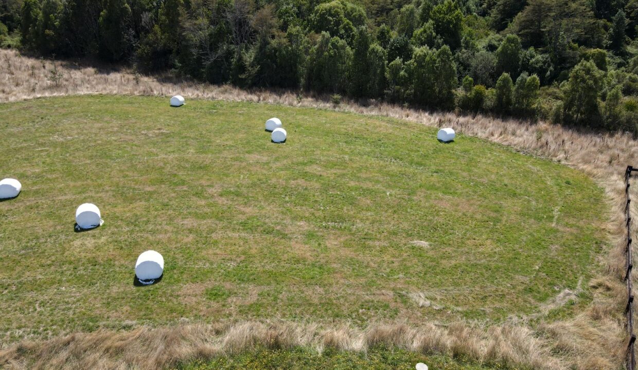 Imagen de WhatsApp 2023-02-16 a las 15.45.29