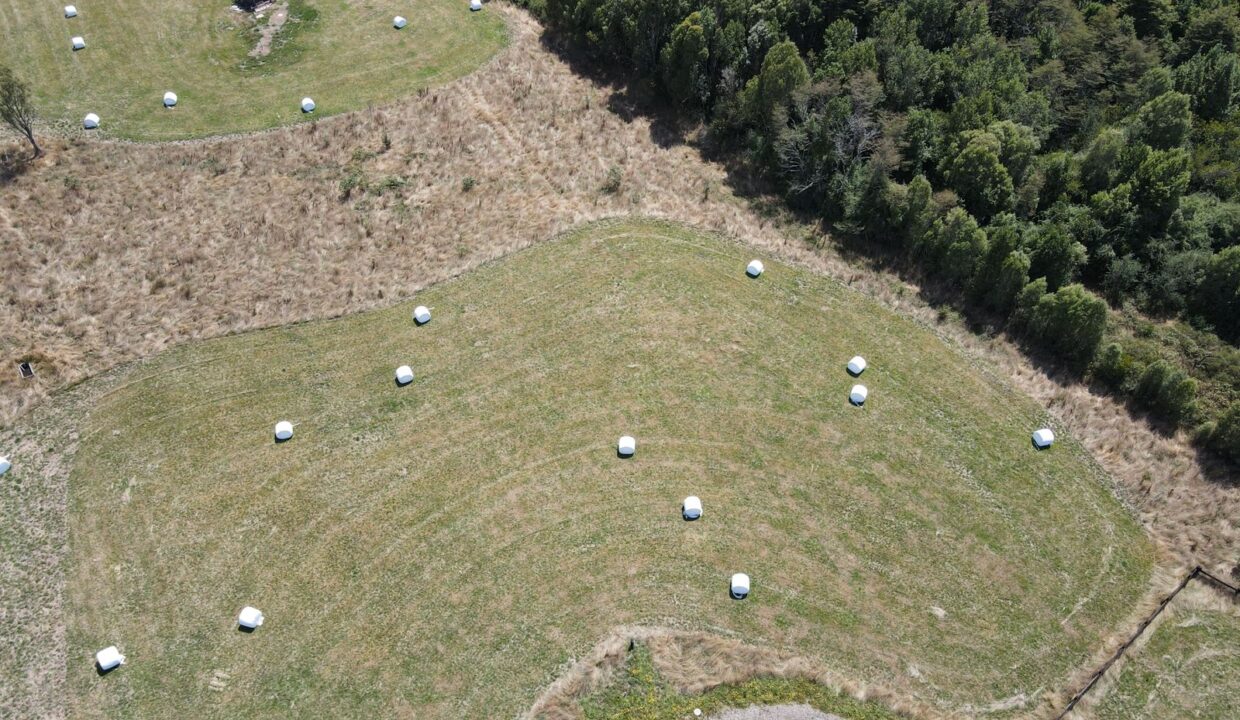 Imagen de WhatsApp 2023-02-16 a las 15.45.30