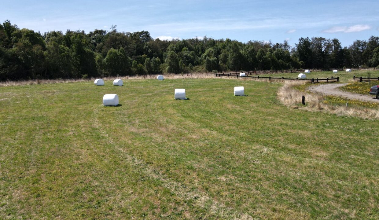 Imagen de WhatsApp 2023-02-16 a las 15.45.32