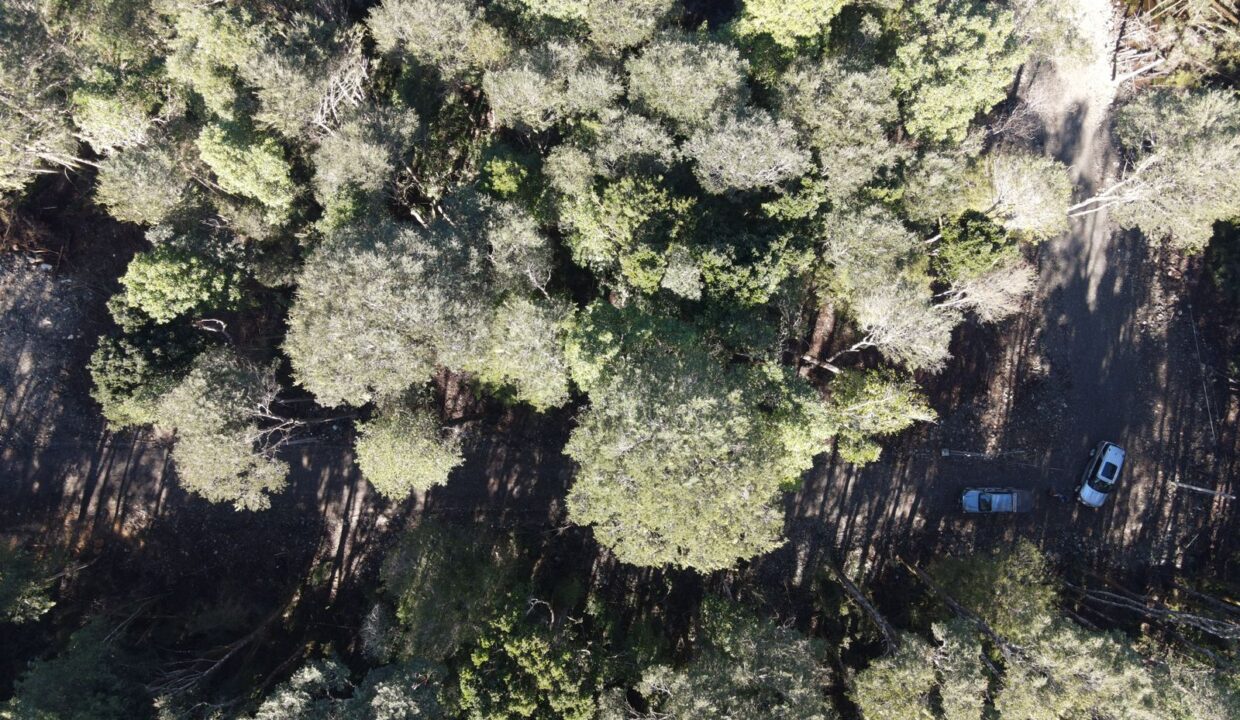 WiYtgGFEZCT6QylomUdnEYKl0wVhLJP4tU6O10QSYlc=_plaintext_638294503527601131