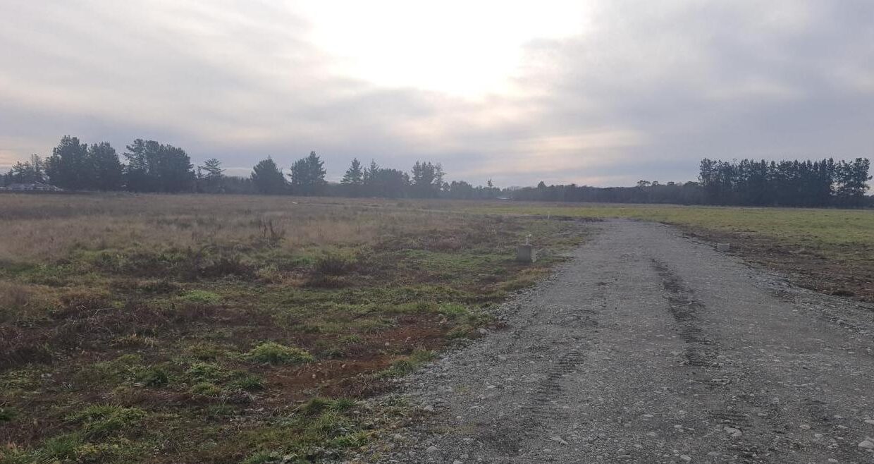 WhatsApp Image 2025-03-01 at 10.16.22 AM