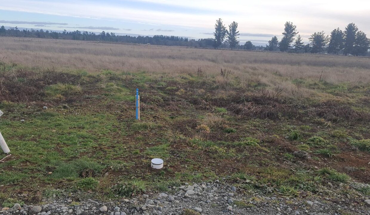 WhatsApp Image 2025-03-01 at 10.16.23 AM