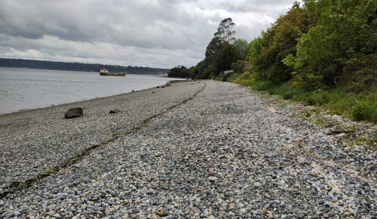 WhatsApp Image 2025-12-26 at 8.58.47 PM