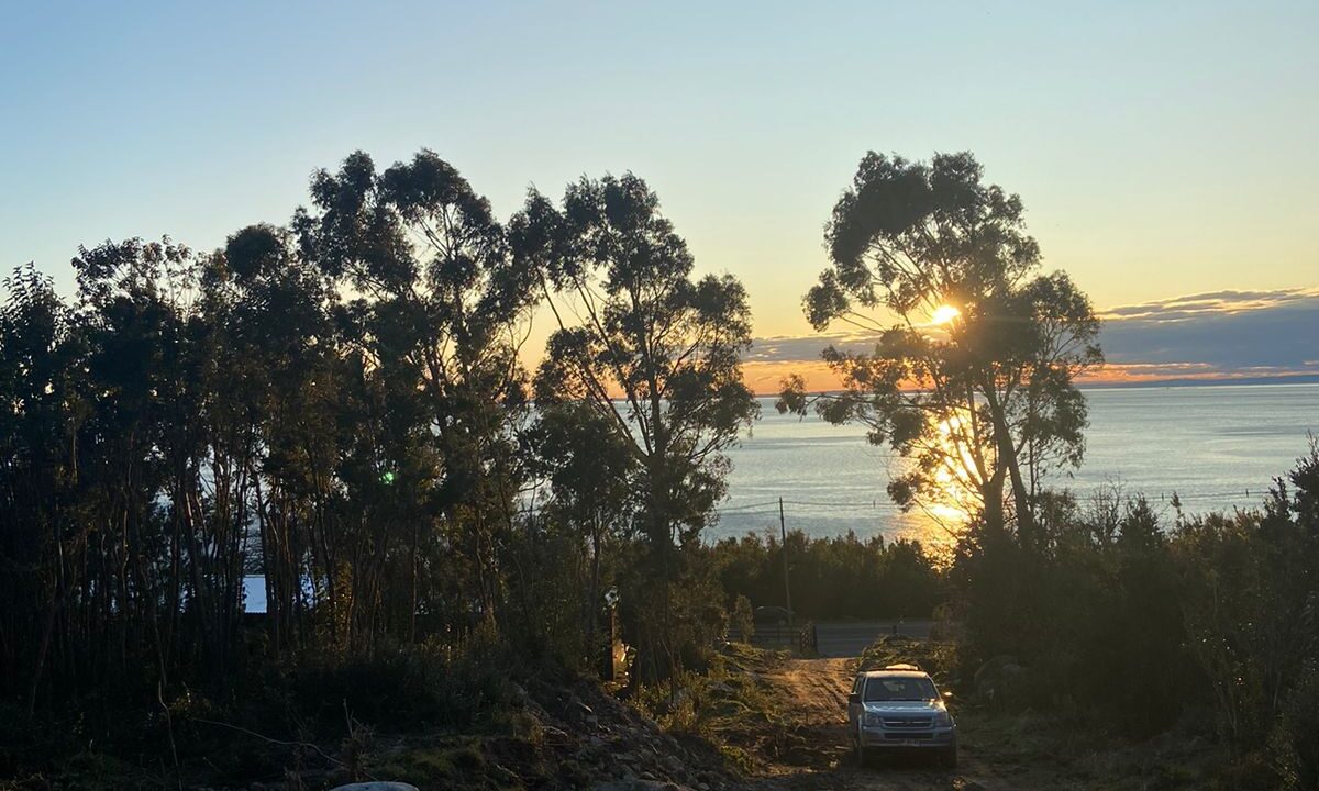 WhatsApp Image 2026-01-02 at 5.21.13 PM (1)