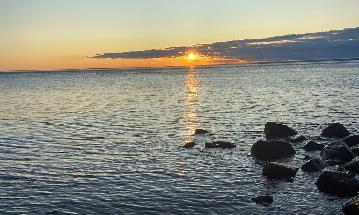 WhatsApp Image 2026-01-02 at 5.21.14 PM (1)