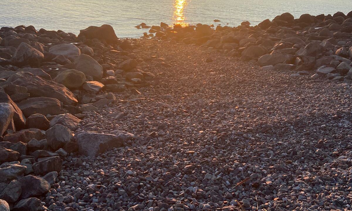 WhatsApp Image 2026-01-02 at 5.21.14 PM