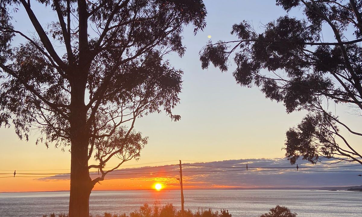 WhatsApp Image 2026-01-02 at 5.21.14 PM (3)