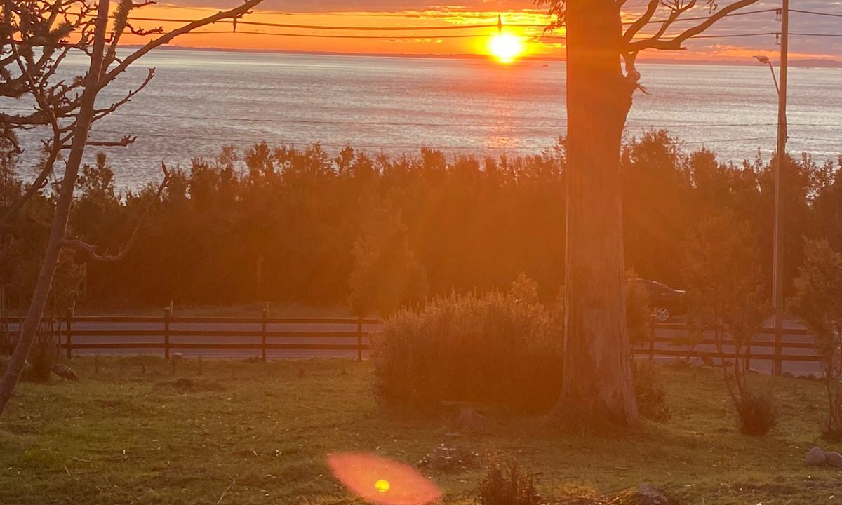 WhatsApp Image 2026-01-02 at 5.21.14 PM (4)