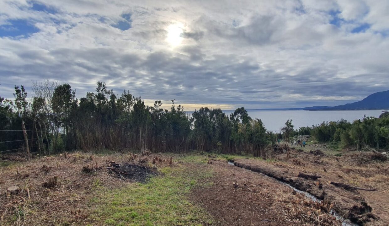 WhatsApp Image 2026-01-02 at 5.23.05 PM