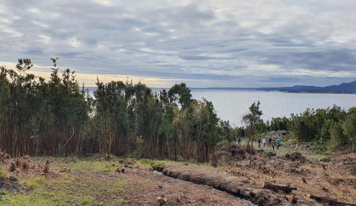 WhatsApp Image 2026-01-02 at 5.23.06 PM