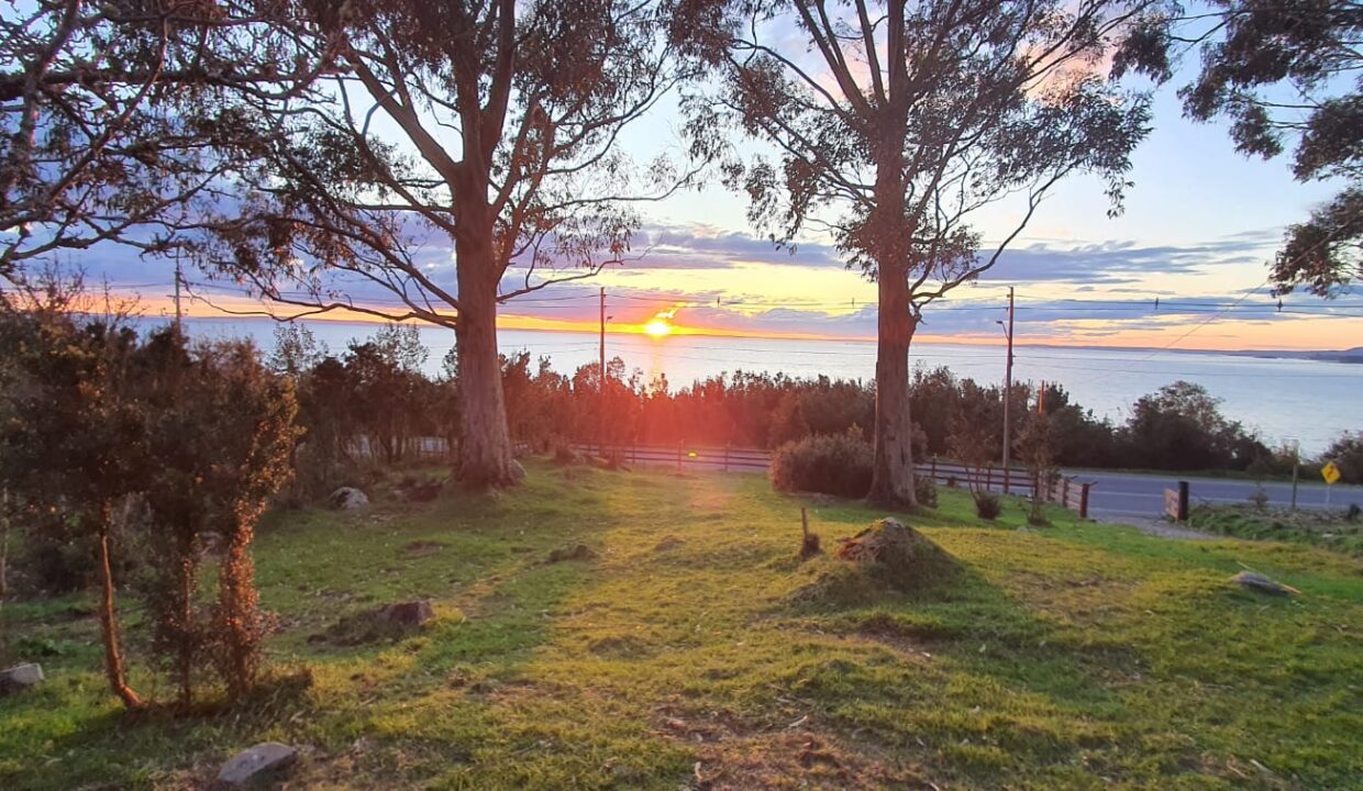 WhatsApp Image 2026-01-02 at 5.26.17 PM