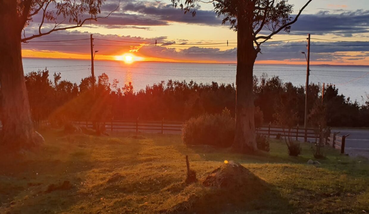 WhatsApp Image 2026-01-02 at 5.26.17 PM (3)