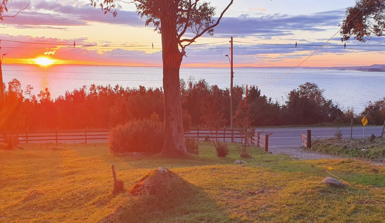 WhatsApp Image 2026-01-02 at 5.26.18 PM