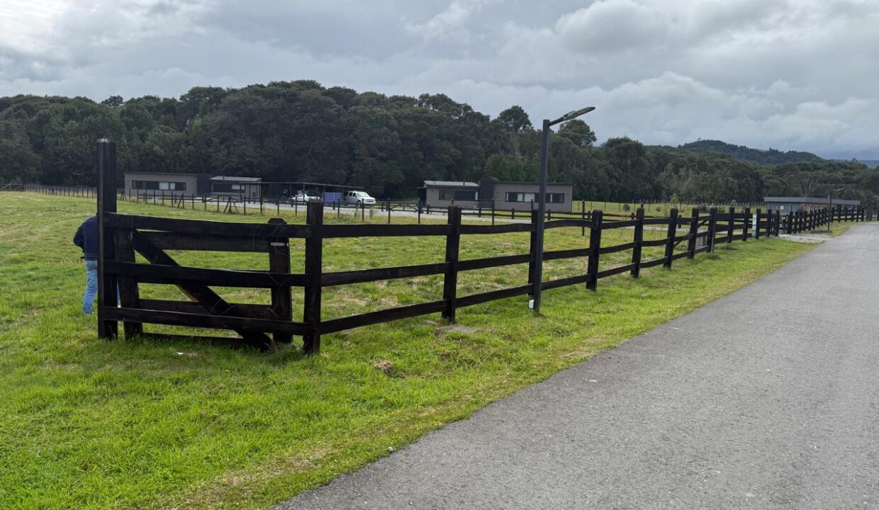 WhatsApp Image 2026-04-14 at 2.32.02 PM