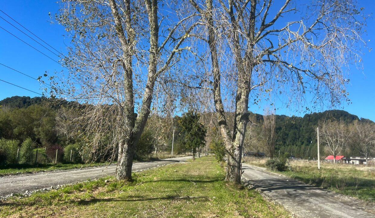 WhatsApp Image 2026-04-15 at 6.44.59 PM