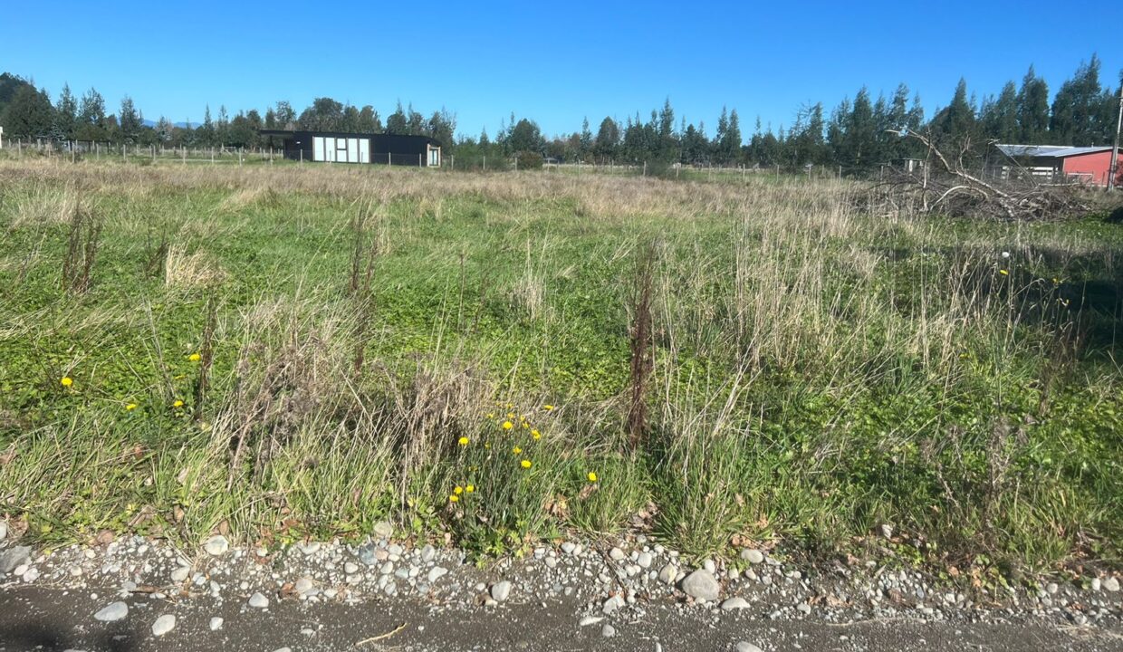 WhatsApp Image 2026-04-15 at 6.45.01 PM