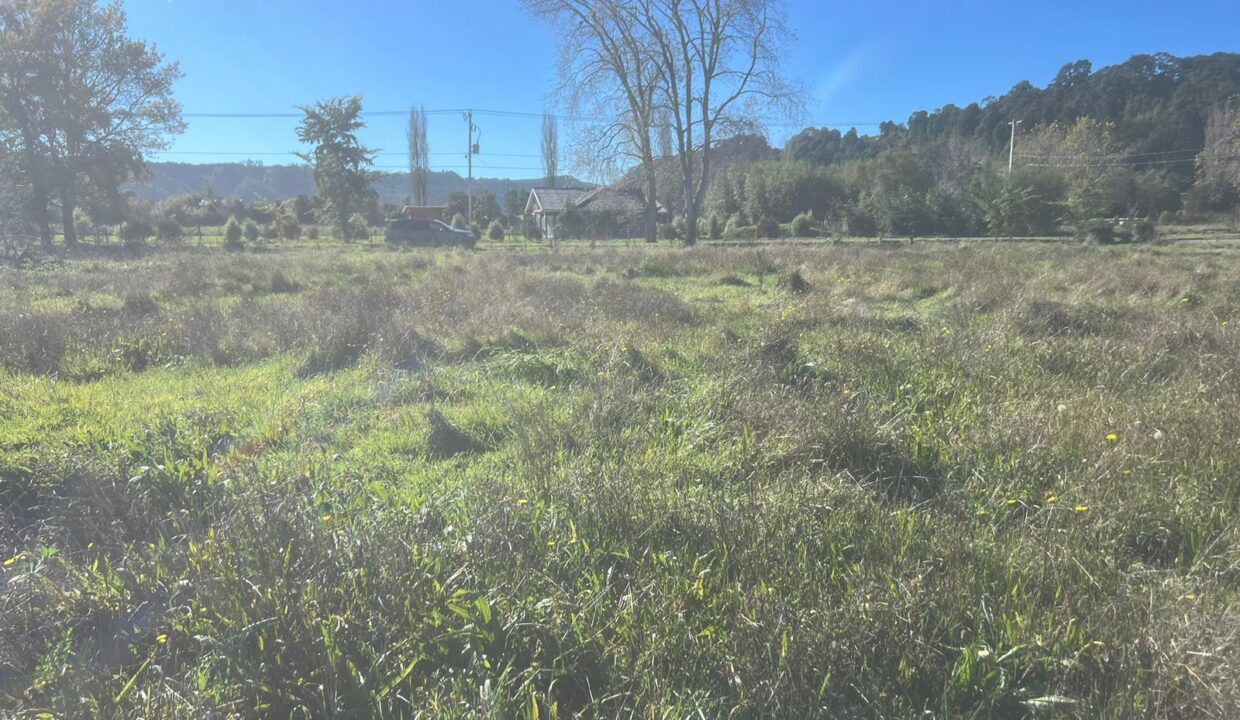 WhatsApp Image 2026-04-15 at 6.45.02 PM (1)