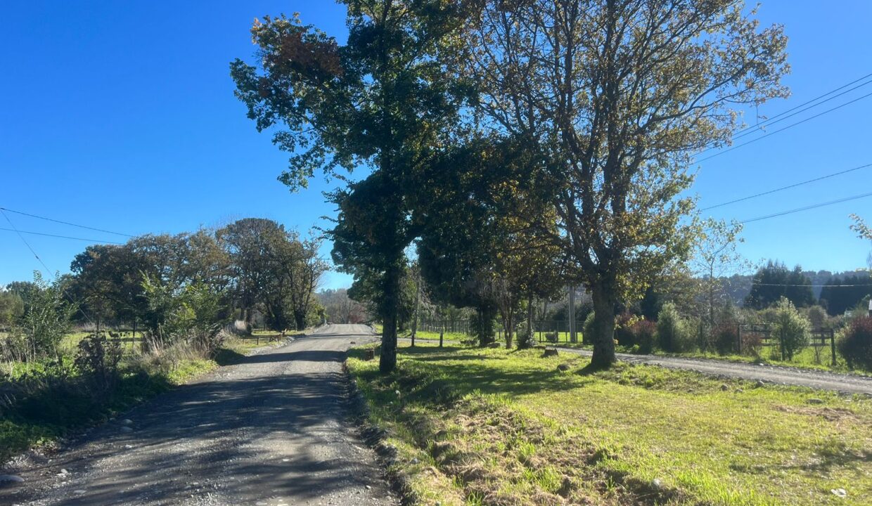 WhatsApp Image 2026-04-15 at 6.45.02 PM