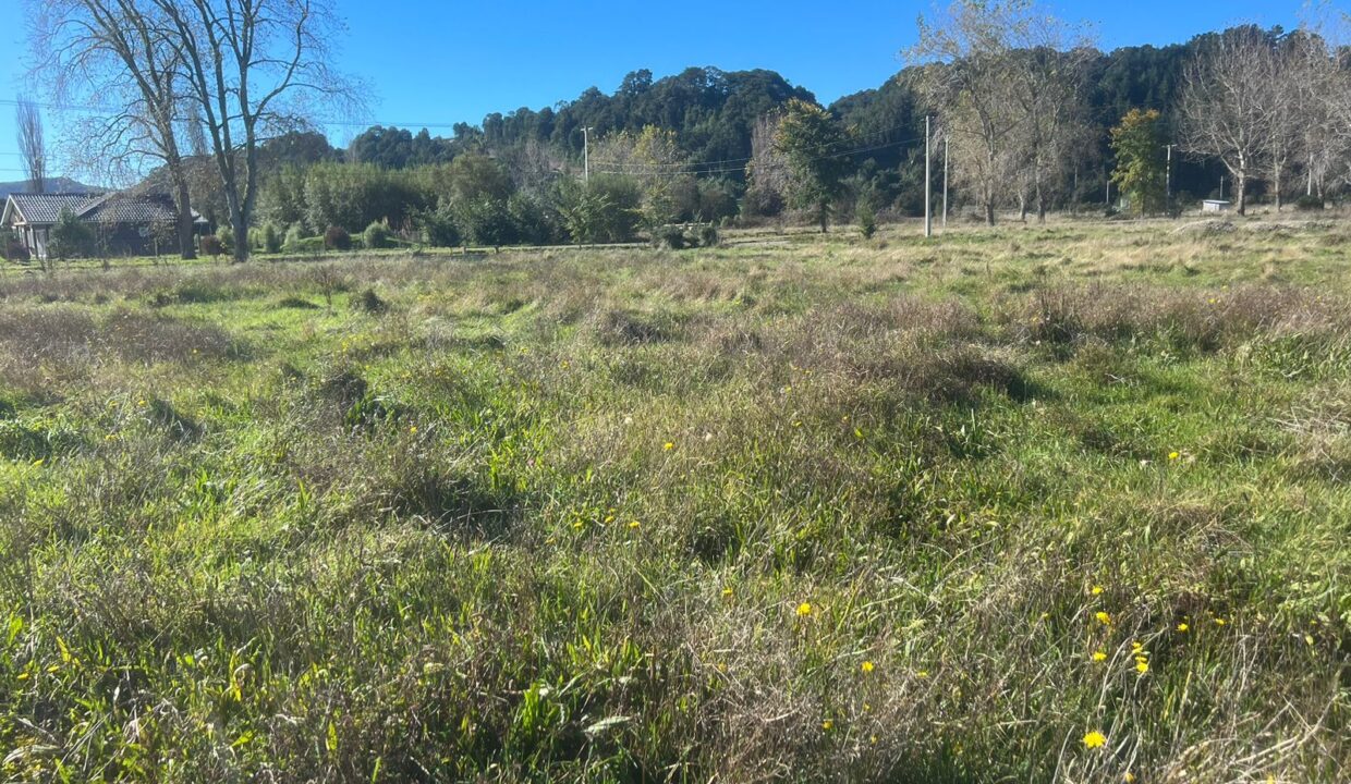 WhatsApp Image 2026-04-15 at 6.45.07 PM