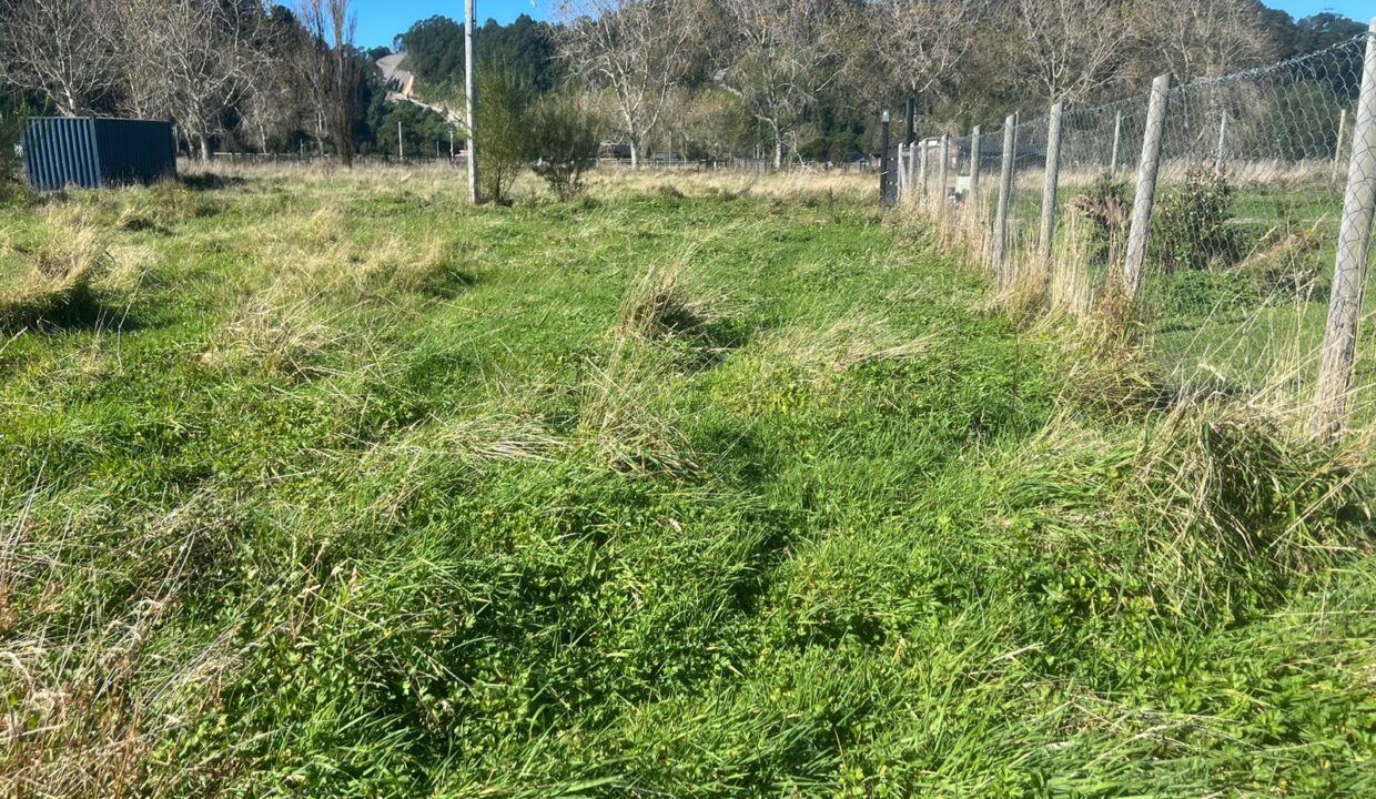 WhatsApp Image 2026-04-15 at 6.45.08 PM