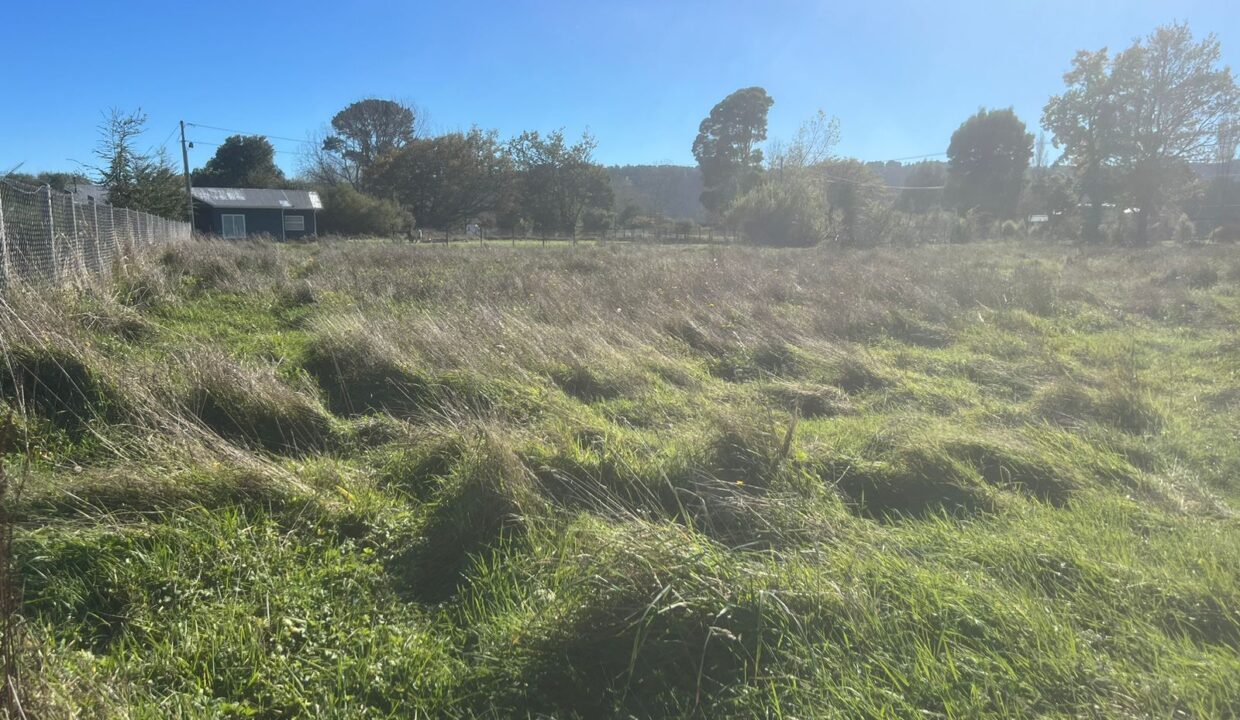 WhatsApp Image 2026-04-15 at 6.45.09 PM (1)