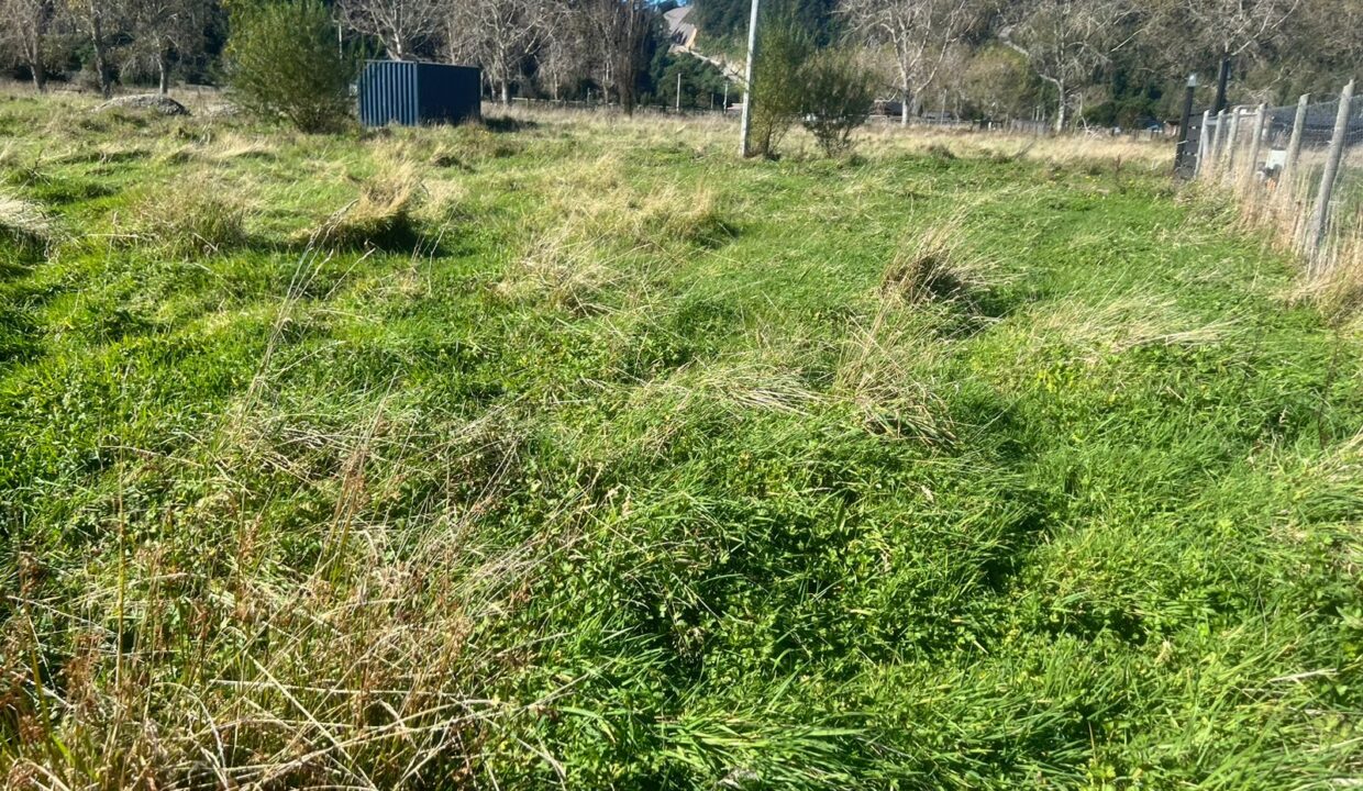 WhatsApp Image 2026-04-15 at 6.45.09 PM