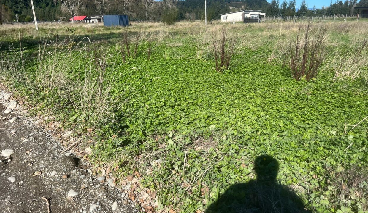 WhatsApp Image 2026-04-15 at 6.45.10 PM