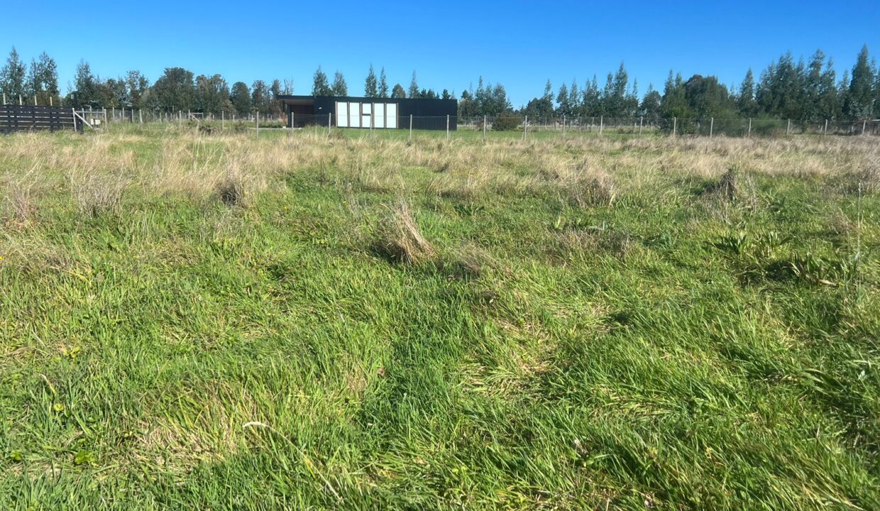 WhatsApp Image 2026-04-15 at 6.45.12 PM (1)