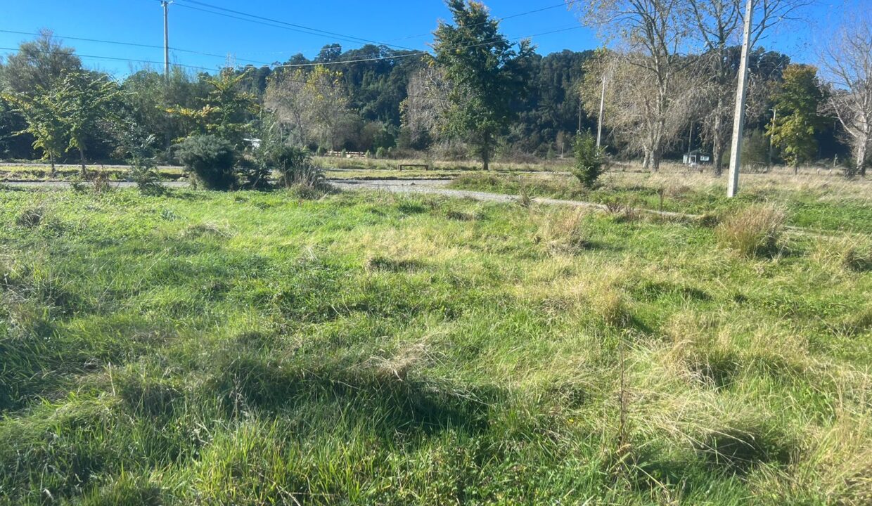 WhatsApp Image 2026-04-15 at 6.45.12 PM