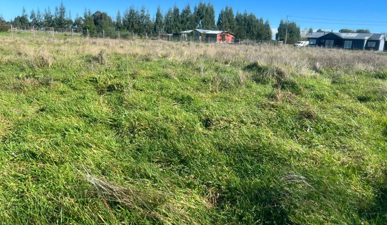 WhatsApp Image 2026-04-15 at 6.45.13 PM (1)