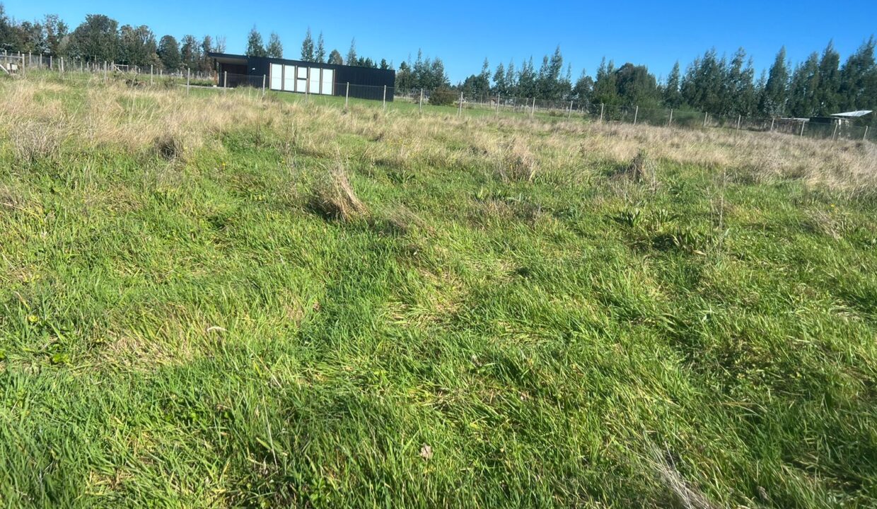 WhatsApp Image 2026-04-15 at 6.45.13 PM