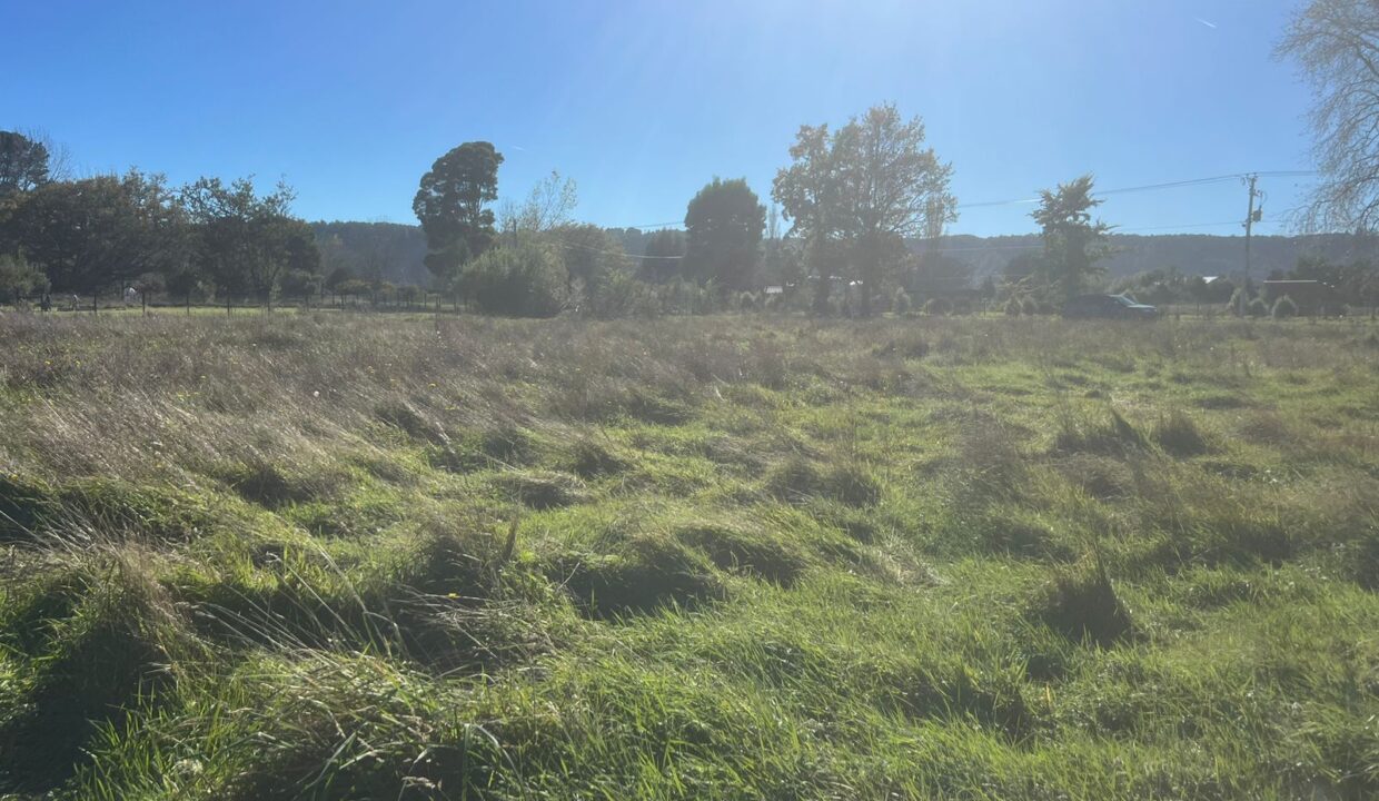 WhatsApp Image 2026-04-15 at 6.45.14 PM