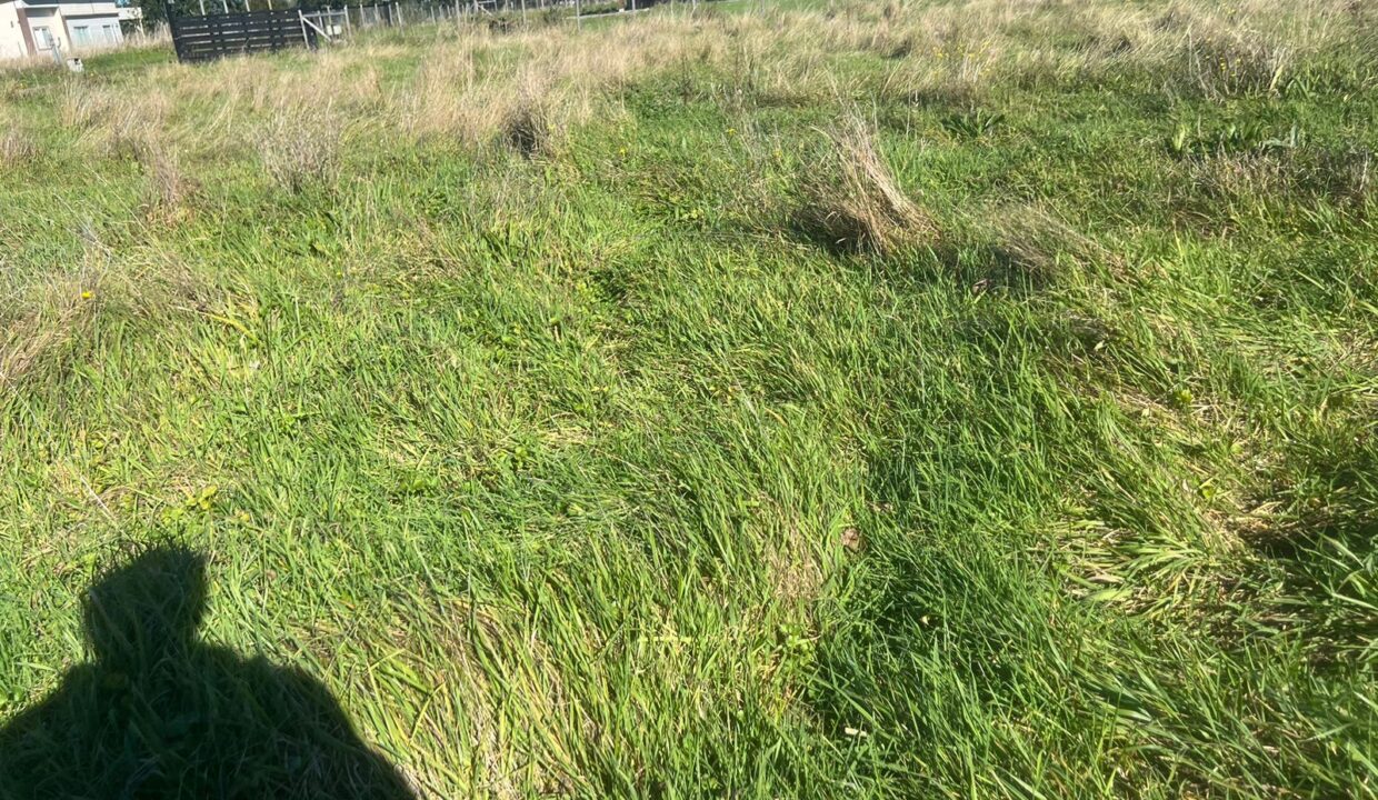 WhatsApp Image 2026-04-15 at 6.45.15 PM (1)