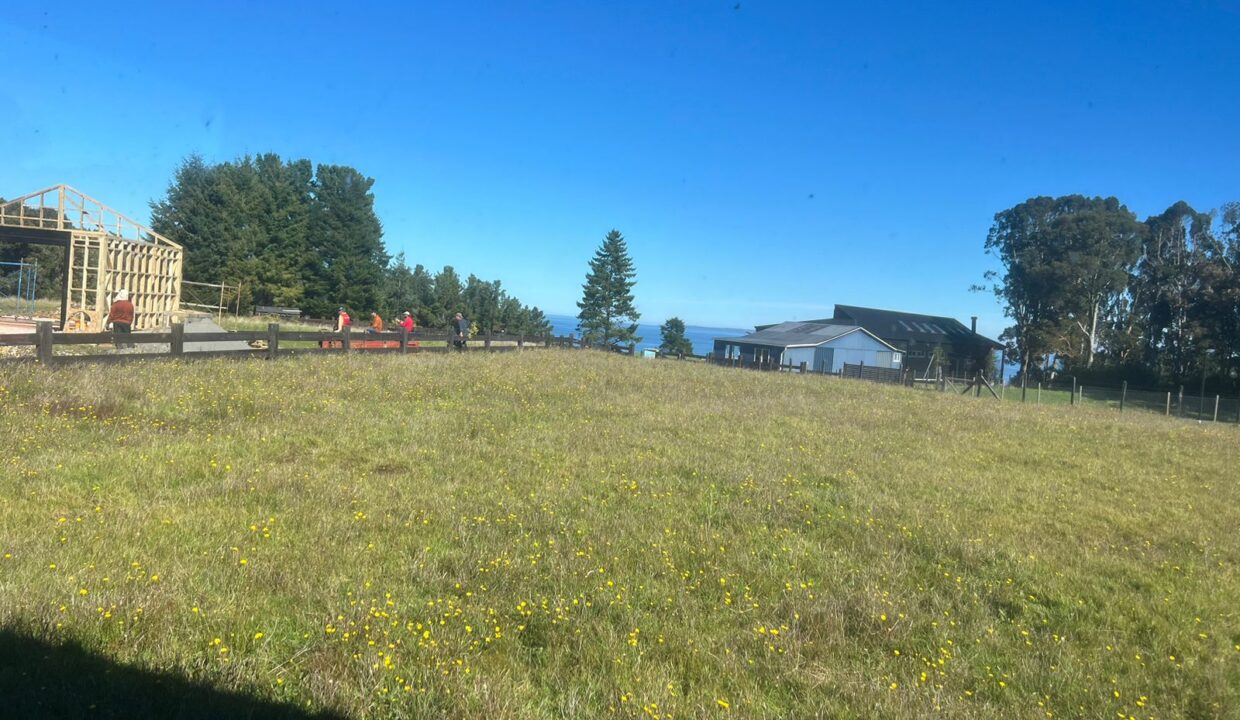 WhatsApp Image 2026-04-16 at 9.05.43 AM (2)