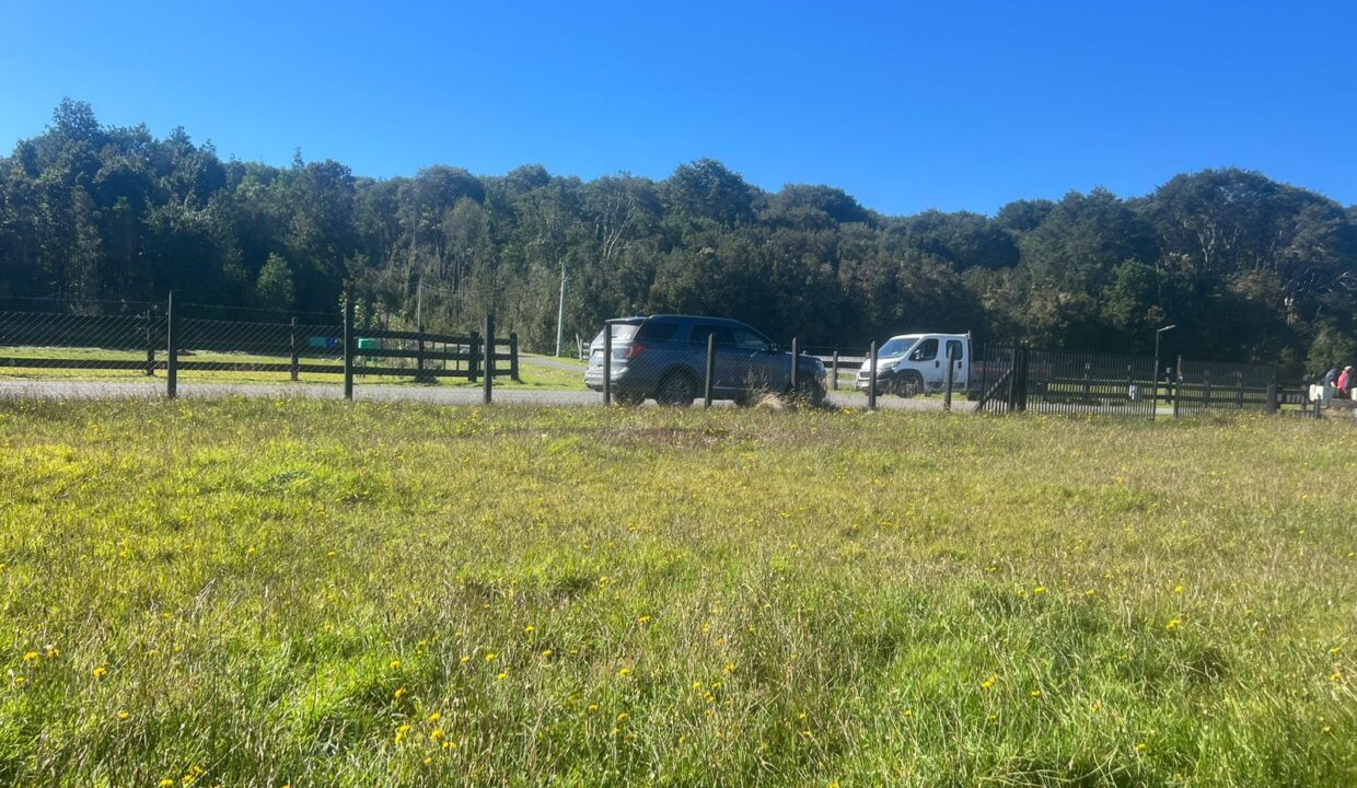 WhatsApp Image 2026-04-16 at 9.05.56 AM