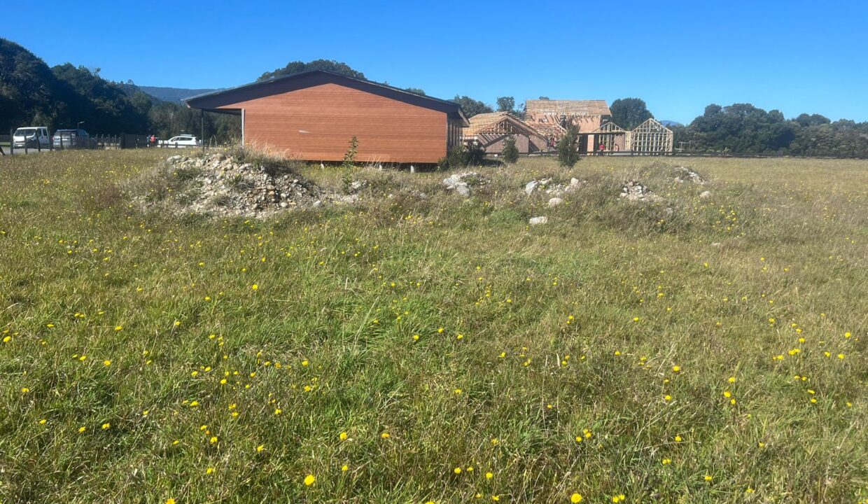 WhatsApp Image 2026-04-16 at 9.05.57 AM