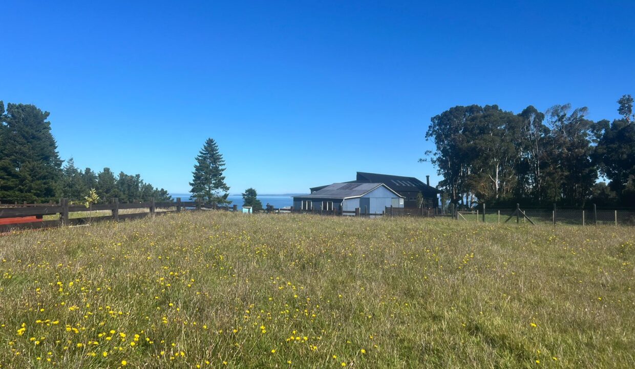 WhatsApp Image 2026-04-16 at 9.05.57 AM (3)