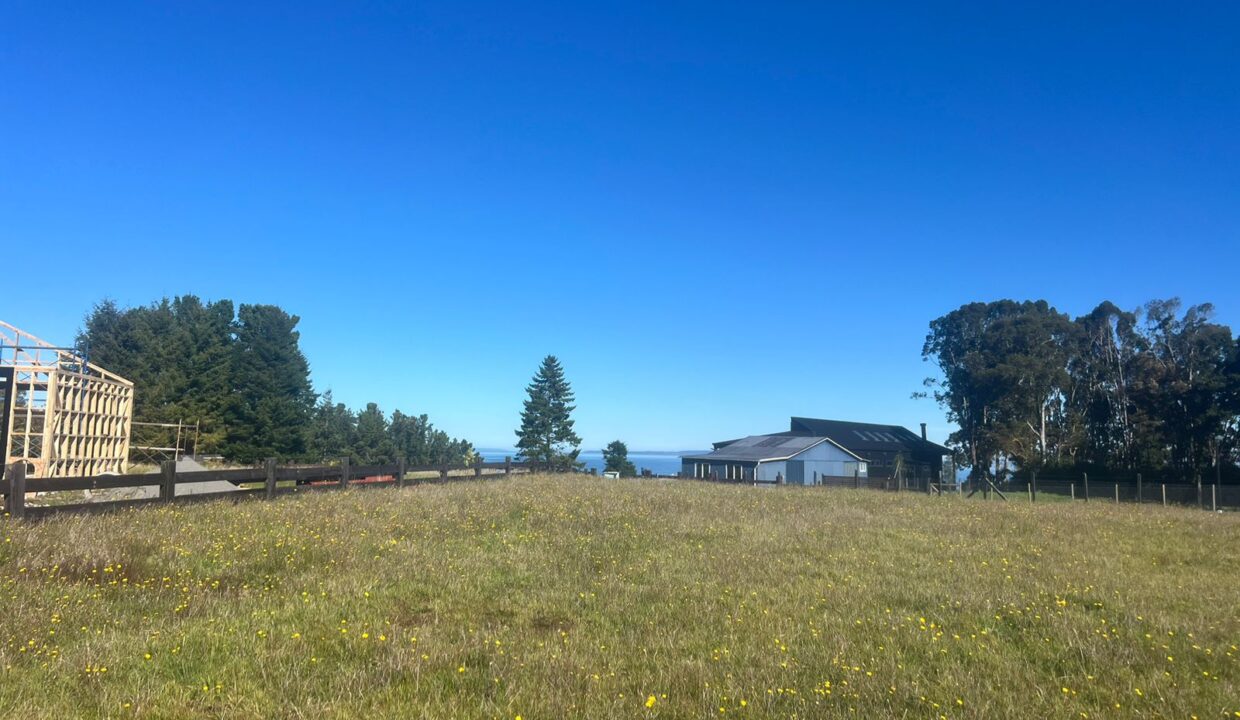 WhatsApp Image 2026-04-16 at 9.05.57 AM (5)